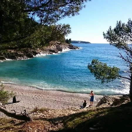 Arena Διαμέρισμα *